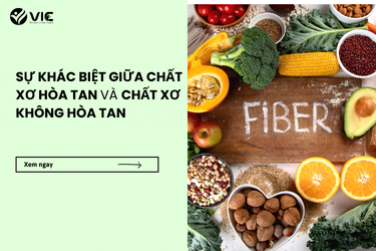 Sự khác biệt giữa chất xơ hòa tan và chất xơ không hòa tan